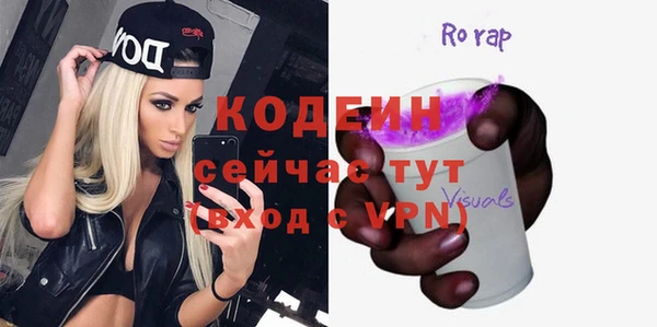 гашик Козельск