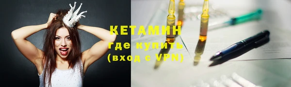 гашик Козельск