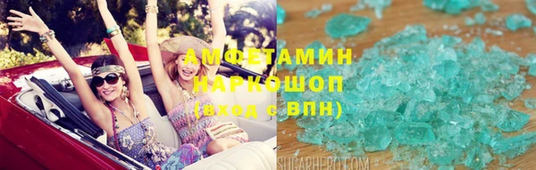 гашик Козельск