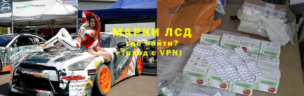 гашик Козельск