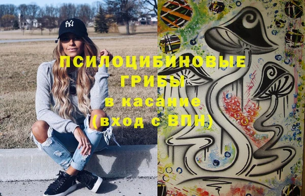 гашик Козельск