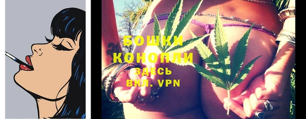 гашик Козельск